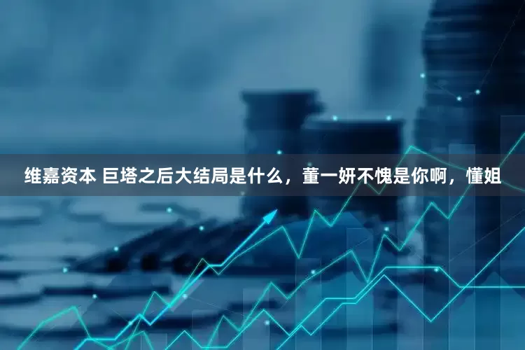 维嘉资本 巨塔之后大结局是什么，董一妍不愧是你啊，懂姐