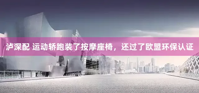 泸深配 运动轿跑装了按摩座椅，还过了欧盟环保认证